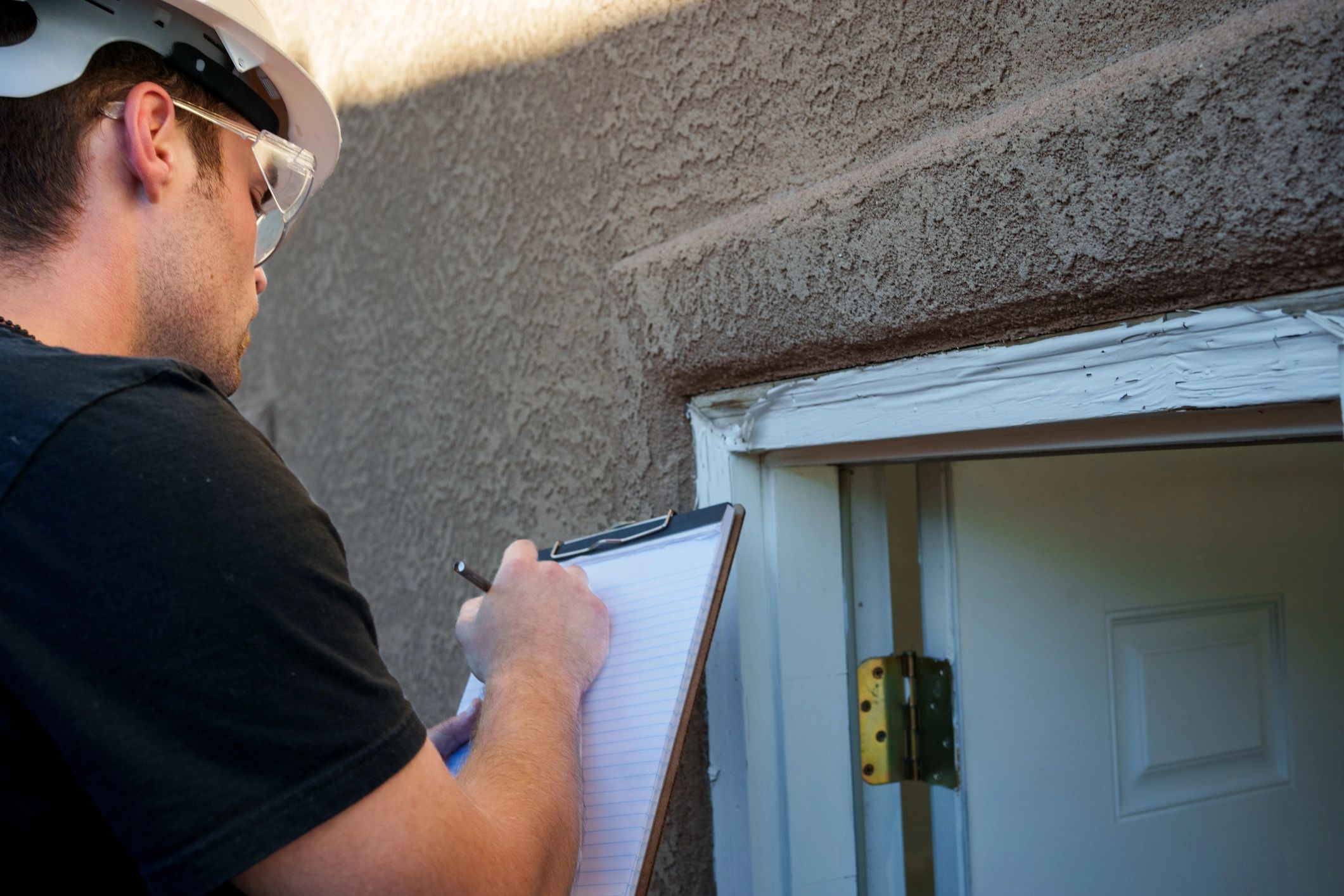 Pest and Mold Inspection